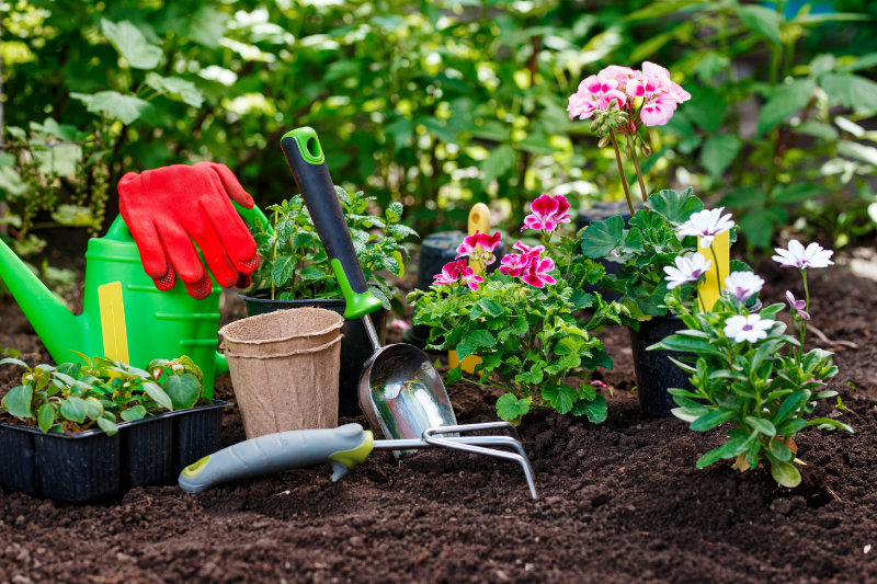 Gardening Services in Hampstead by Handyman Hampstead